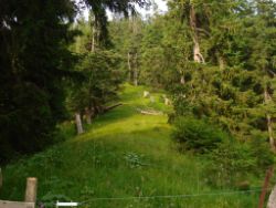 2013-07-20_Regina-F-Rau_Kochel-Rabenkopf (411).JPG